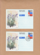 LIECHTENSTEIN    2 Entiers   110     Annee 1987   Sans Ecriture  " International  PAR AVION " - Entiers Postaux