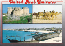 E.A.U. -  U.A.E. - DUBAI - Fujaira - Jumaira Beach - Camels - 1994 - Dubai