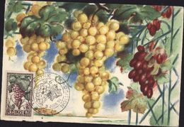 Sur Carte Maximum Raisin Vigne CAD Illustré Foire Exposition 3 Juin 1950 Alger Algérie YT 279 Fruits De France - Gebraucht