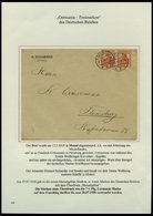 MEMELGEBIET O,Brief,BrfStk,**,* , Reichhaltige Saubere Teilsammlung Memel Von 1920-1922 Mit Vielen Besonderheiten, Bogen - Memel (Klaipeda) 1923