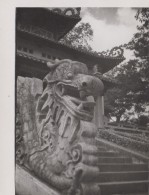 Chine - China - Photographie - Sculptured Dragoon - Staire Of Temple - Chine