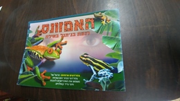 Israel- Post Card-the Amazon-touching The Jungle In Eilat-(frogs Poisonous) - Tortugas