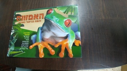 Israel- Post Card-the Amazon-touching The Jungle In Eilat-(frogs Poisonous) - Turtles