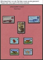 GUERNSEY **, 1970-81, Partie Verschiedener Kompletter Ausgaben, Pracht, Mi. 150.- - Guernesey