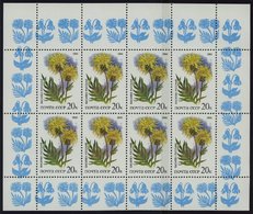 SOWJETUNION 5572,5577KB **, 1986, Olympische Spiele Der Neuzeit Und Geschütze Pflanzen Der Russischen Steppe, 2 Kleinbog - Usados