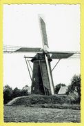 * Westmalle (Malle - Antwerpen) * (Nels, Photothill, Uitg Claes Bazarke) Stenen Molen, Moulin, Mill, Rare - Malle