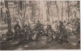 Carte Photo Militaria Soldats 14 ème BCA Chasseurs Alpins 1924 à La Soupe - Regimente