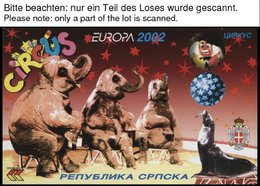 EUROPA UNION MH O, 2002, Zirkus, 11 Verschiedene Markenheftchen, Pracht, Mi. (143.-) - Collections