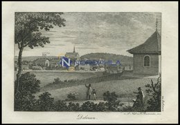 DOBERAN, Gesamtansicht, Blick Vom Pavillon, Kupferstich Von F. Rosmäsler Jun. Von 1820 - Lithographies