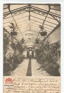 Belgique - Bruxelles - Laeken Chateau Royal Galerie Souterraine Conduisant Aux Maréchaux 1903 - Laeken