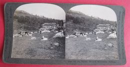 CARTE STEREOSCOPIQUE  - NORWAY - SAETRE TELEMARK,HAUKELL MAUNTAINS,  STEREO PHOTO - Stereoscope Cards