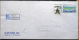 Iceland 1979   Registered Cover    ( Lot  4784 ) - Lettres & Documents