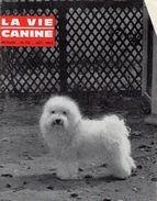 LA VIE CANINE MENSUEL No 132 DECMBRE 1963 - Animaux