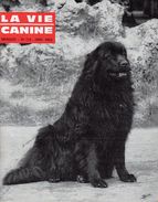 LA VIE CANINE MENSUEL No 133  JANVIER 1964 - Animals