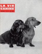 LA VIE CANINE MENSUEL No 134  FEVRIER 1964 - Tierwelt