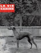 LA VIE CANINE MENSUEL No 136  AVRIL 1964 - Animaux
