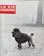 LA VIE CANINE MENSUEL No 137 MAI 1964 - Animaux