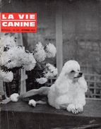 LA VIE CANINE MENSUEL No 141 SEPTEMBRE 1964 - Animaux