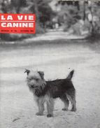 LA VIE CANINE MENSUEL No 142 OCTOBRE 1964 - Tierwelt