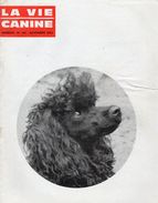LA VIE CANINE MENSUEL No 143 NOVEMBRE 1964 - Animales