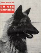 LA VIE CANINE MENSUEL No 144 DECEMBRE 1964 - Tierwelt