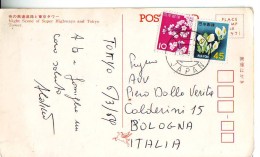 Giappone , Po  Palle Val 10  E 45   , 2 Francobolli Anni '60 Su Cartolina (E) - Lettres & Documents