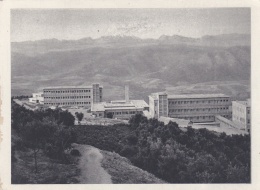 Carte Baconnier De Propagande En FM  Sanatorium De Tizi-Ouzou - Guerre D'Algérie