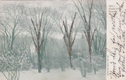 New York Syracuse Winter In Fayette Park 1905 - Syracuse