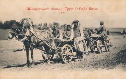 N72 - RUSSIE - Type De Petite Russie - Attelage - N° 8 - Russia