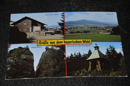 2863- Grüsse Aus Dem Bayerischen Wald - Autres & Non Classés