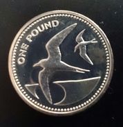 Saint Helena Island 1 POUND 1984 SILVER PROOF Piedfort " Sooty Terns (Wideawake Birds) " Free Shipping Via Registered - Sant'Elena