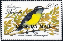 BIRDS-BANANAQUIT-OVPT-BARBUDA MAIL-ANTIGUA& BARBUDA-1988-SCARCE-MNH-B9-645 - Pics & Grimpeurs