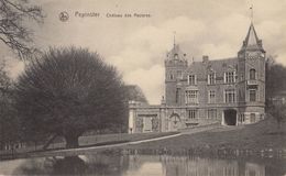 Pepinster Château Des Mazures - Pepinster