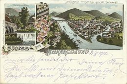 AK Neckargemünd Gruss Aus Mehrbild Farblitho 1900 #02 - Neckargemuend