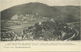 AK Neckarsteinach Ortsansicht Bahnlinie ~1900 #02 - Heppenheim