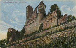 AK Neckarzimmern Burg Hornberg Color ~1910 #01 - Hornberg