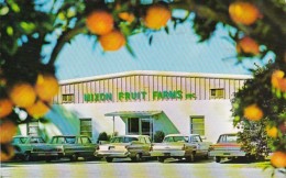 Florida Bradenton Mixon Fruit Farms 1967 - Bradenton