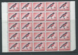 South Africa 1961 - 1963 No Watermark Definitives 3c Bird Block Of 25 MNH - Unused Stamps