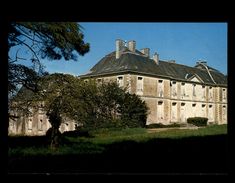 44 - FROSSAY - Chateau - - Frossay