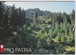 SUISSE  CARNET DE TIMBRES PRO PATRIA 1998 OBLITERE - Markenheftchen