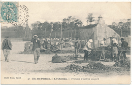 ILE D'OLERON - LE CHATEAU - Trieuses D'Huitres Au Port - Ile D'Oléron