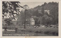 Fränkische Schweiz. Rupprechtstegen, Pegnitzpartie - Pegnitz