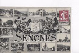 88 / SENONES / MULTIVUES - Senones