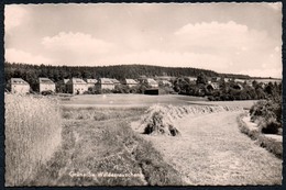 A8878 - Grüna Bei Chemnitz Waldesrauschen - Wagler Karl Marx Stadt - Handabzug TOP - Chemnitz (Karl-Marx-Stadt 1953-1990)