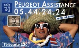 PEUGEOT ASSISTANCE - 120 Einheiten