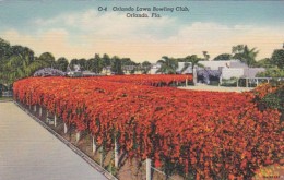 Florida Orlando The Orlando Lawn Bowling Club Surrounded By Hedge Of Flame Vine 1943 Curteich - Orlando