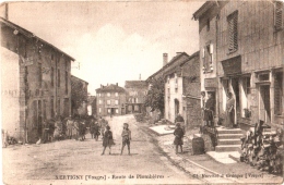 CPA 88 (Vosges) Xertigny - Route De Plombières, Café-restaurant J. Duval, Mercerie Petijean, Dardot-Fontaine - Xertigny