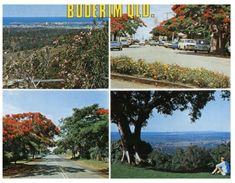 (235) Australia - QLD - Buderim (with Stamp At Back Of Card) - Sunshine Coast