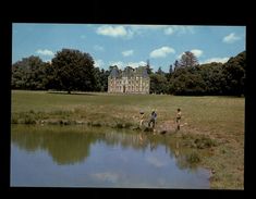 85 - LA CHATAIGNERAIE - Chateau - La Chataigneraie