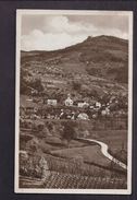 CPSM ALLEMAGNE - SASBACHWALDEN - Très Jolie Vue Générale Du Village Avec Détails Habitations - Sasbach